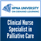 Clinical Nurse Specialist in Palliative Care